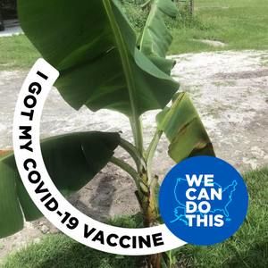 Meet your Posher, Sue